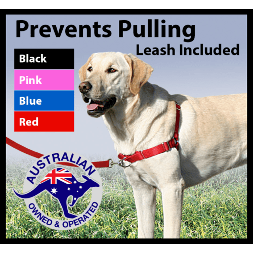 Full Body Chest Harness Stops Dogs From Pulling