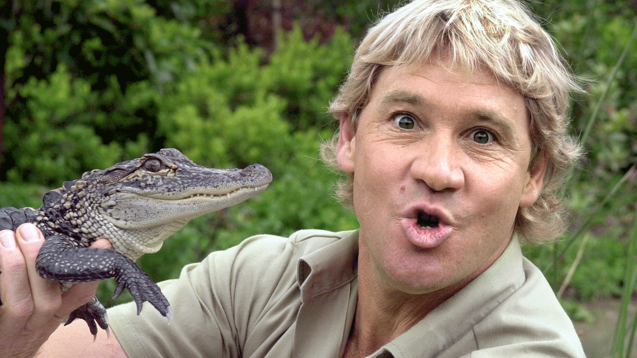 Steve Irwin, el famoso “cazador de cocodrilos” cuyo legado sigue más