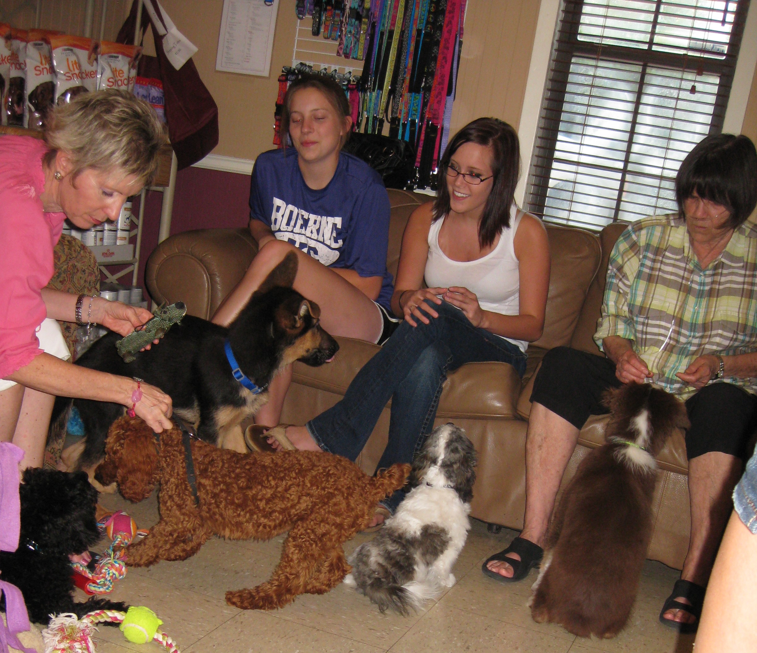 Austin Puppy Classes and SocializationCertified Austin Dog Trainer