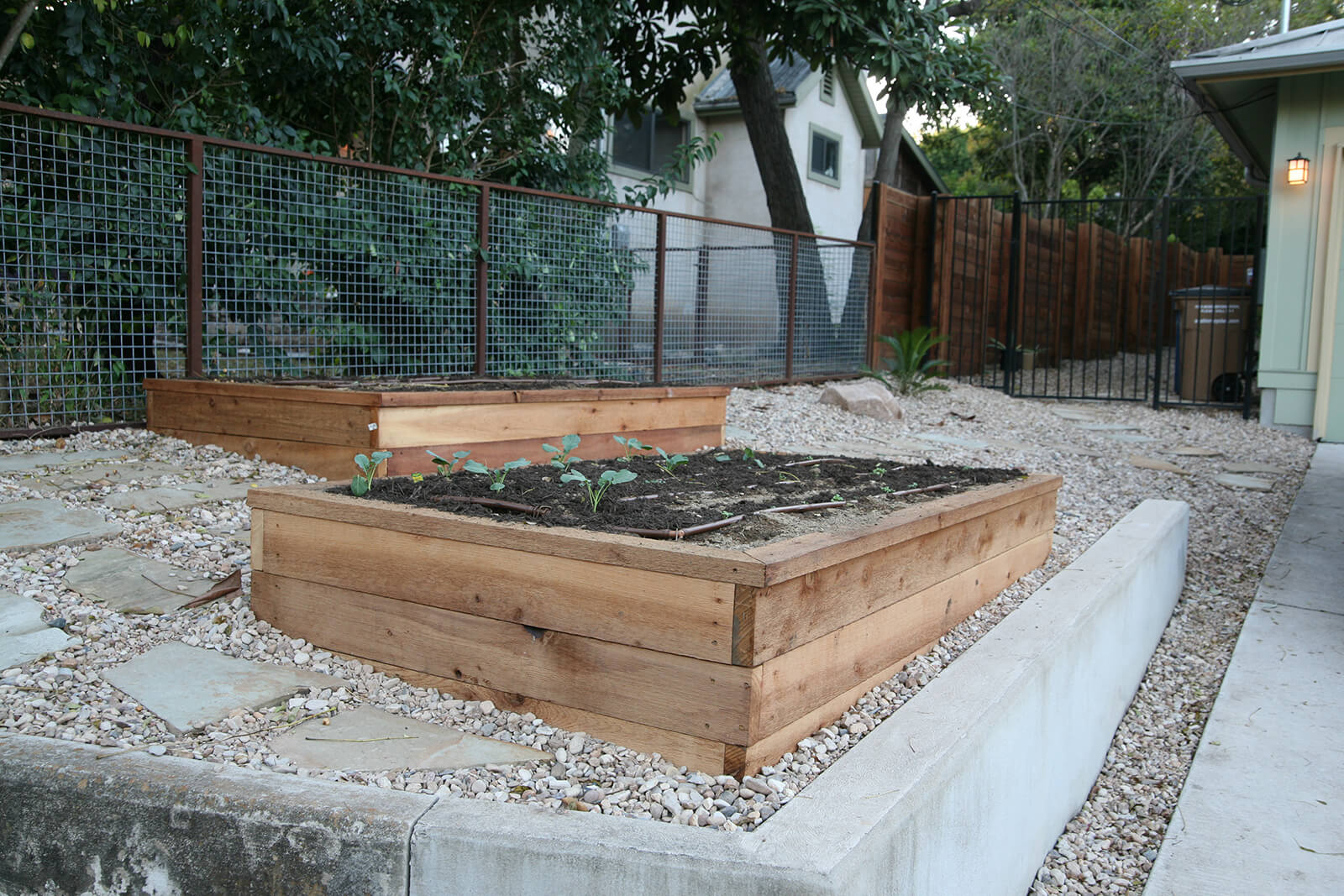 Travis Heights Garden Details