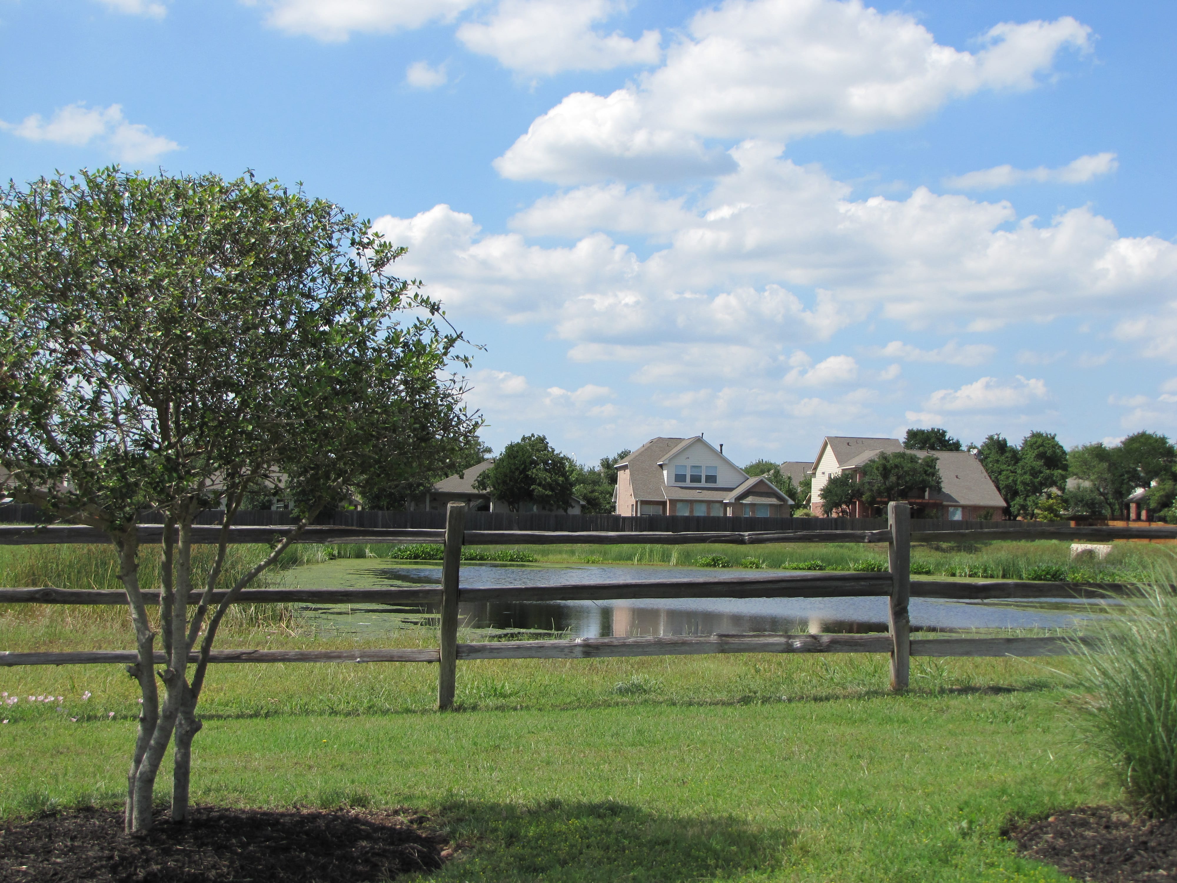 Mayfield Ranch Homes For Sale Round Rock MLS Listings Mayfield