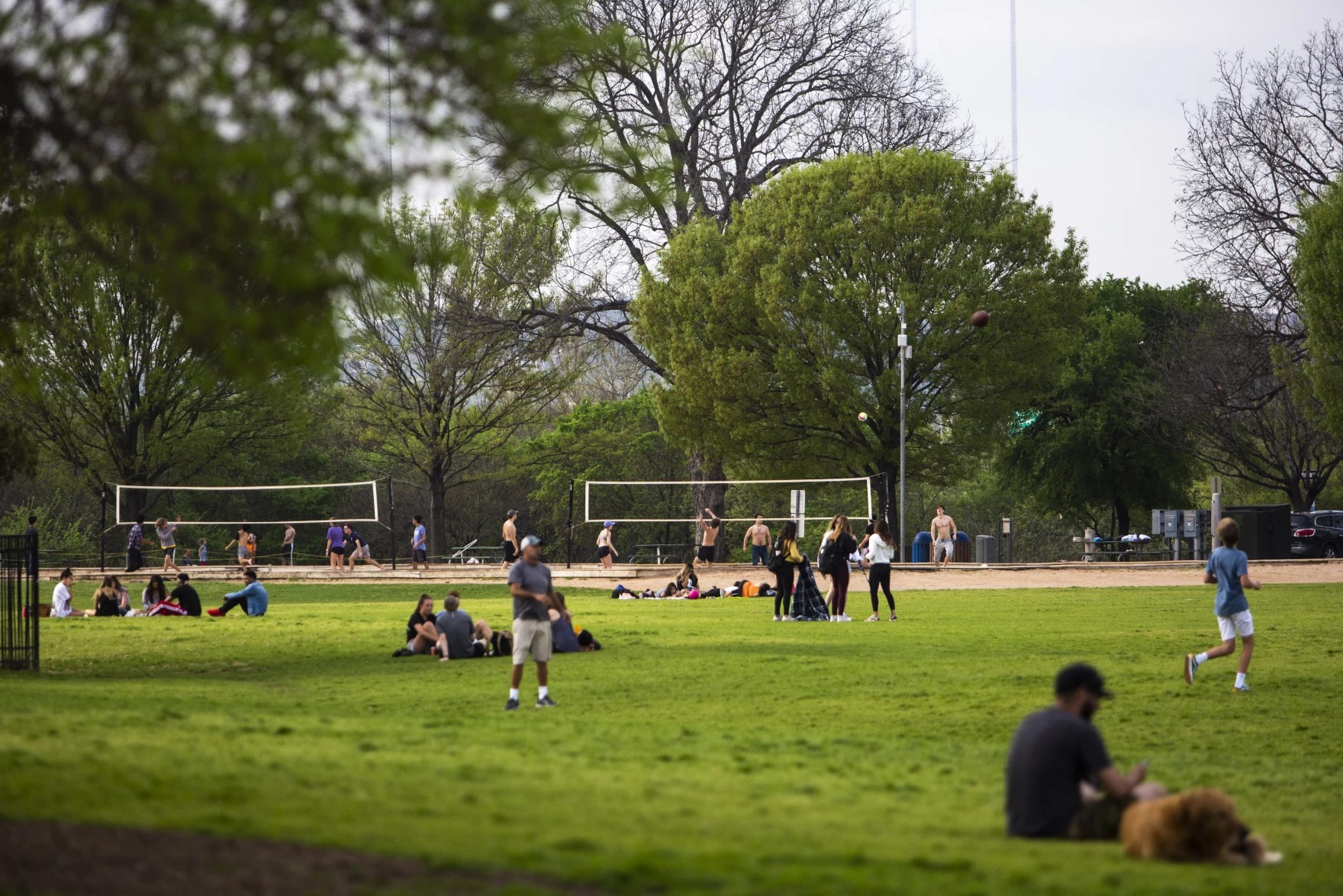 Zilker Park Vision Plan Austin MonitorAustin Monitor