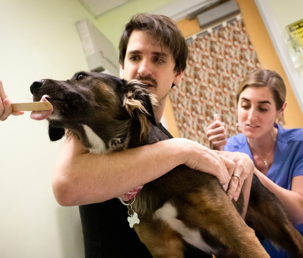 Austin Pets Alive! Careers
