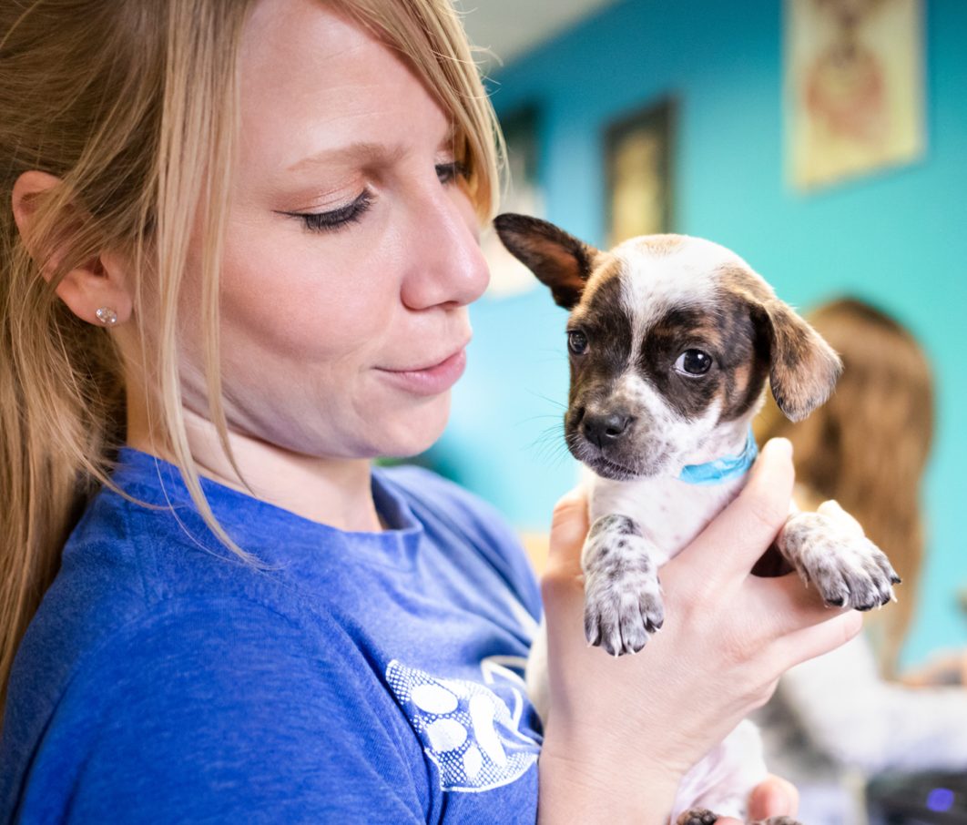Austin Pets Alive! Careers