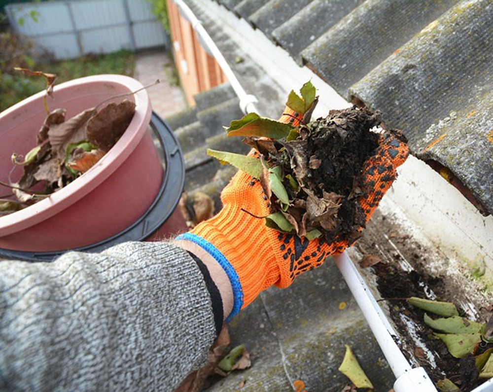 Austworld Gutter Trash