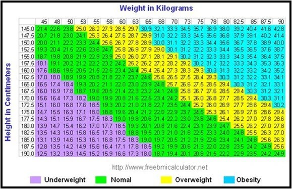 Body Mass Index Calculator And BMI Reliability Analysis