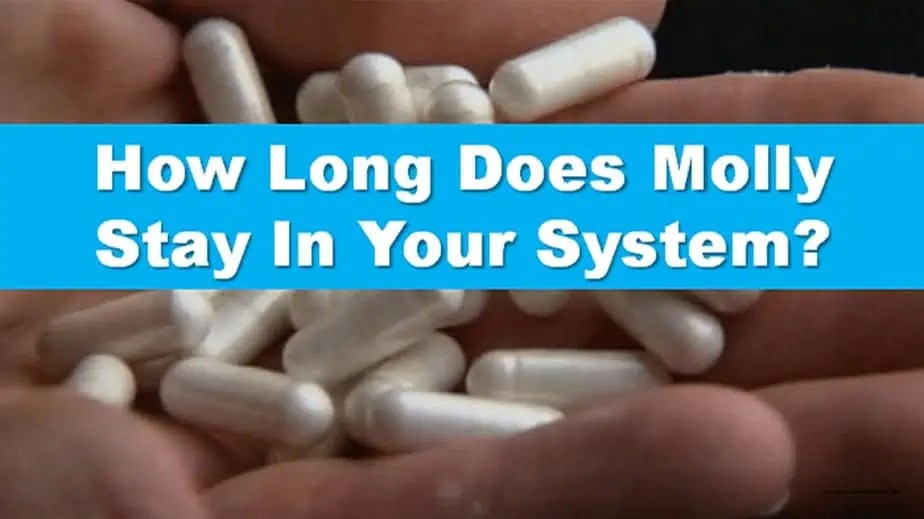 How Long Does Molly Stay In Your System?