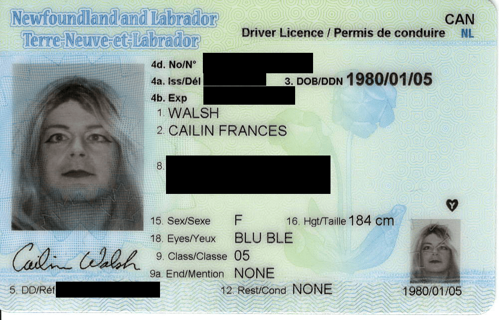 ¿Cómo obtener una licencia de conducir en Canadá? ¿Cómo cambiar tu