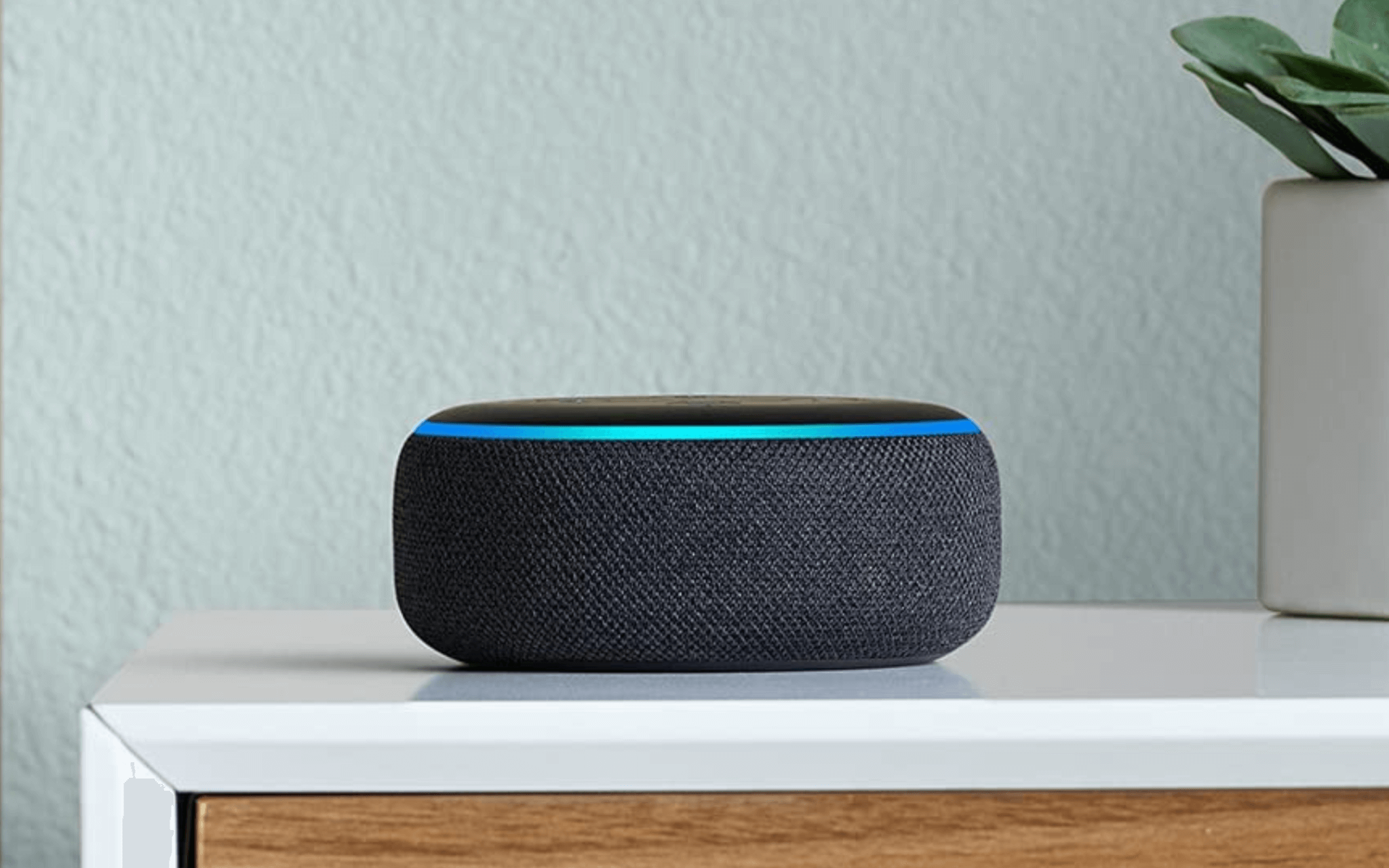 Casa Smart con Echo Dot, su Amazon ad un PREZZO SUPER! Autoblog