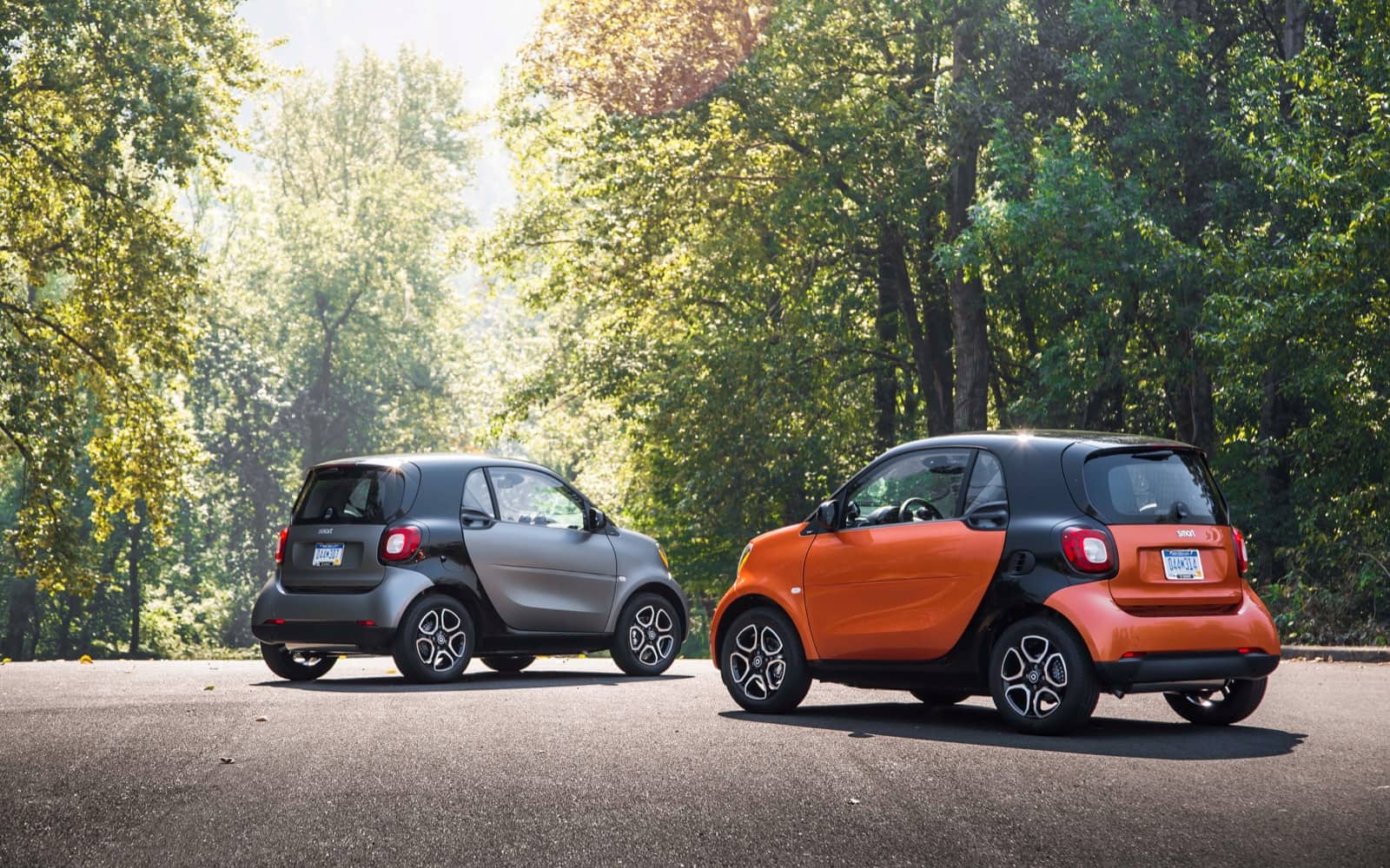 Smart abandonará Estados Unidos éste año