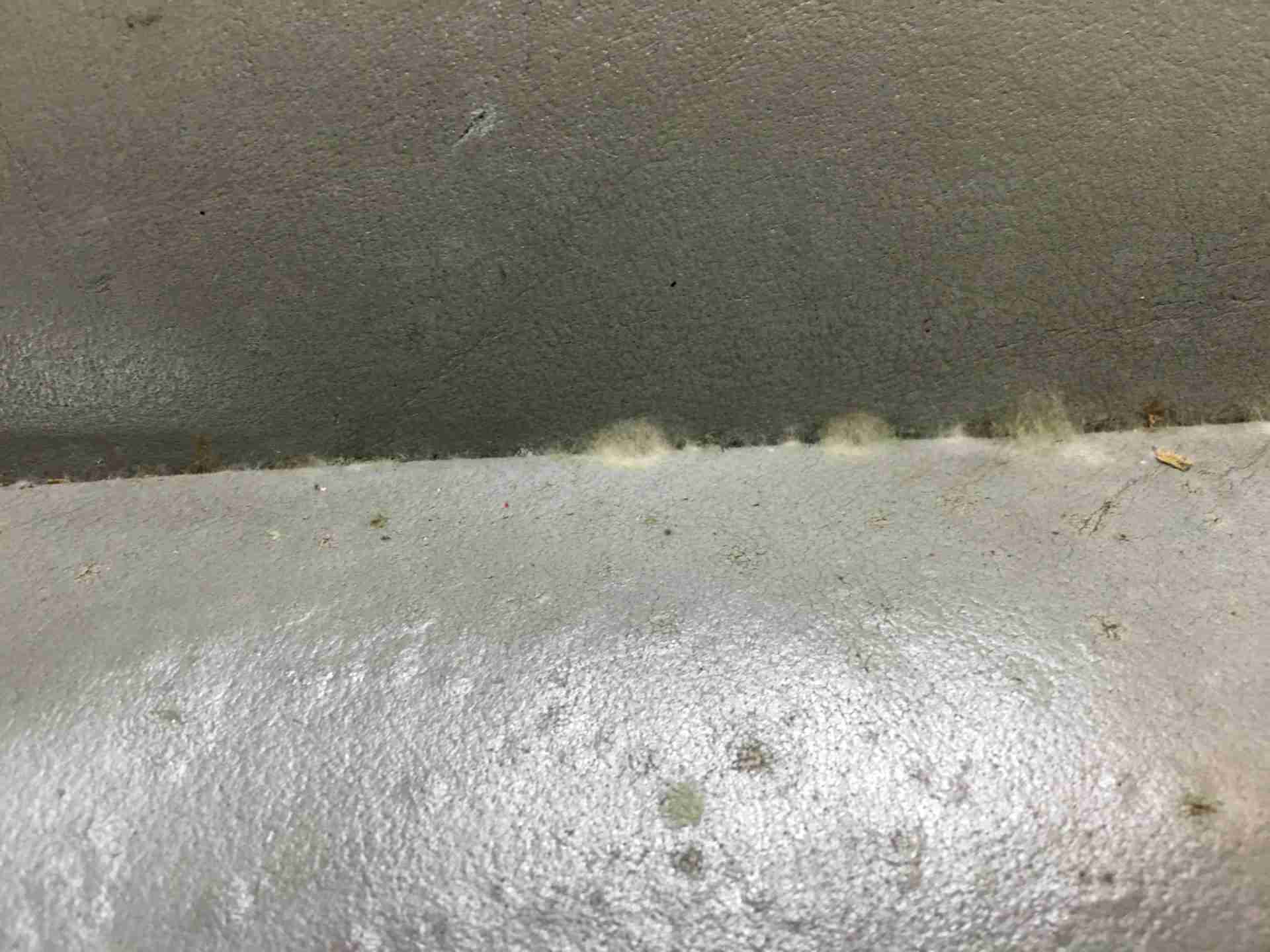 How to Remove Car Interior Mold A StepbyStep Guide