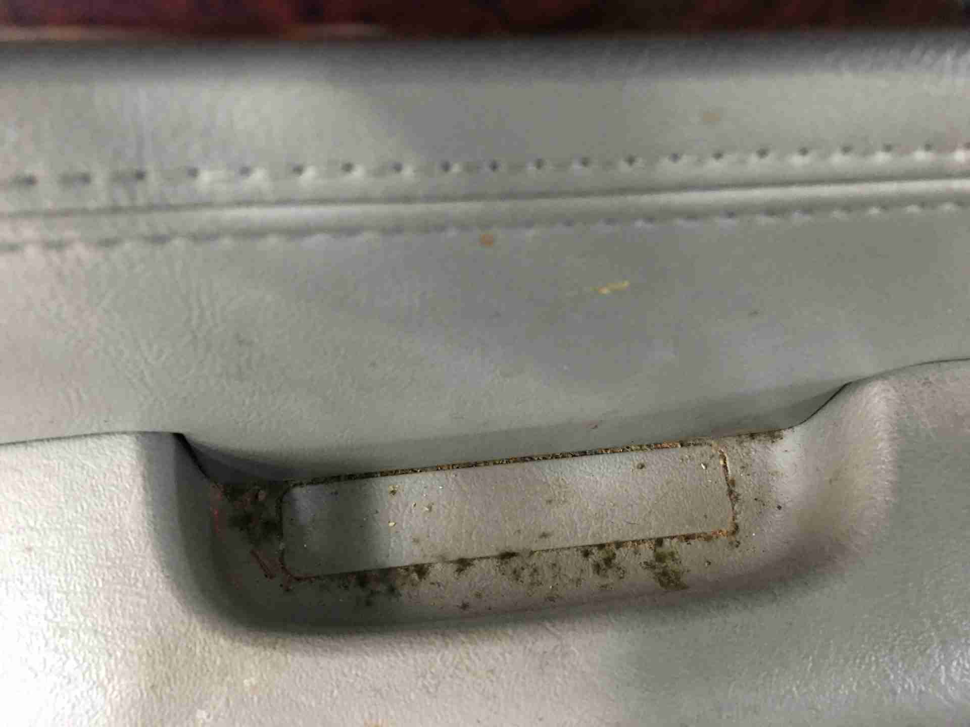 How to remove car interior mold Auto Detail Doctor