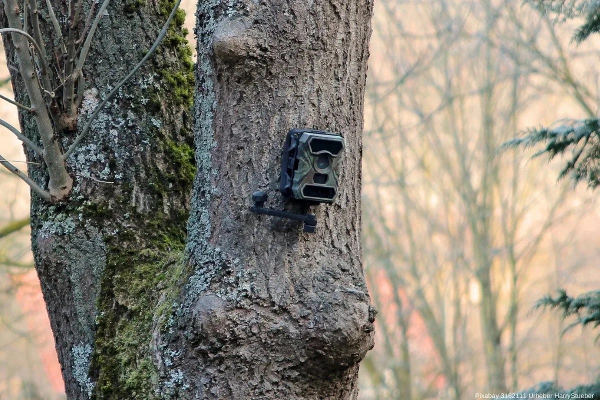 Was eine gute Wildkamera ausmacht und auf was Sie beim Kauf achten