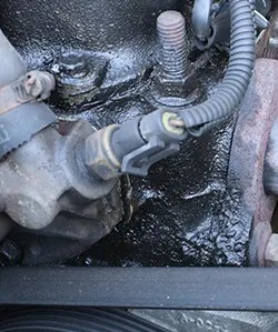 Head Gasket Repair Denver Tech Center | Littleton Head Gasket Service