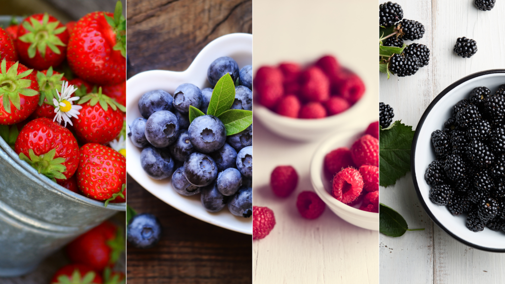 Boost your Immune System with Berries AVA Berries Taste the berry best