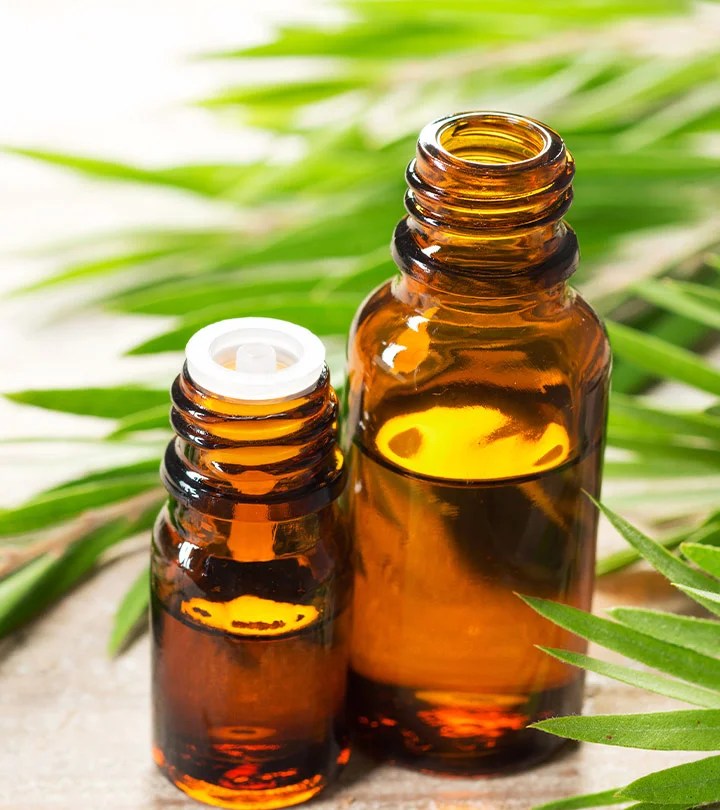 Scents That Bed Bugs Hate Available Ideas