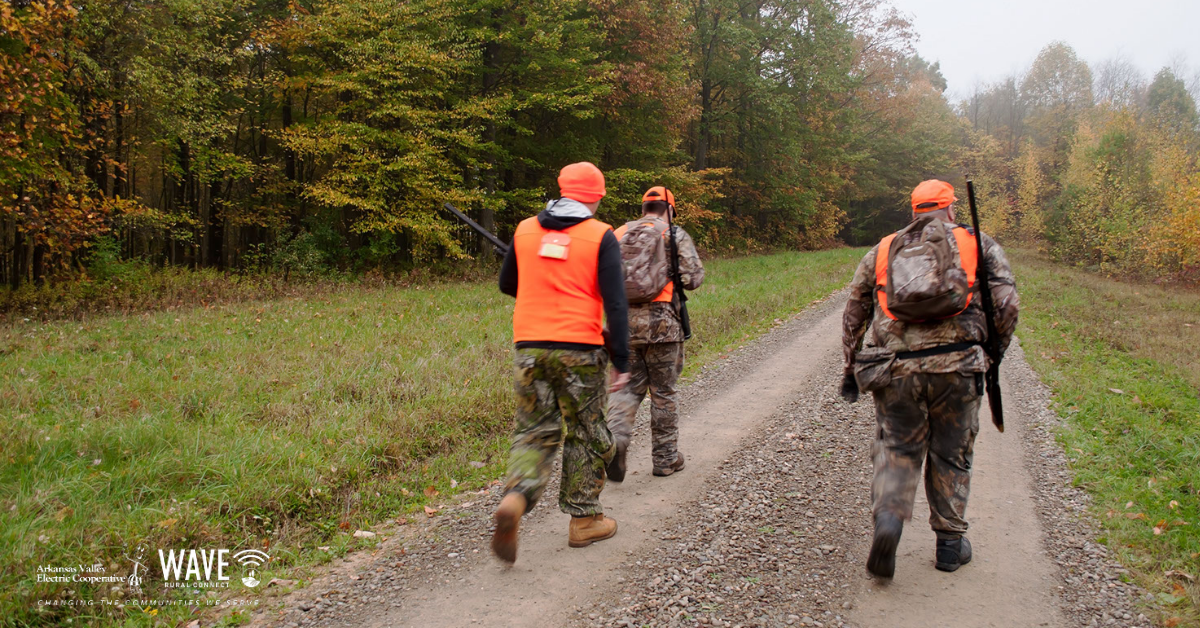 Stay Safe While Hunting Arkansas Valley Electric Cooperative Corporation