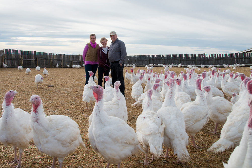 A Visit to Winter's Turkeys Avenue Calgary