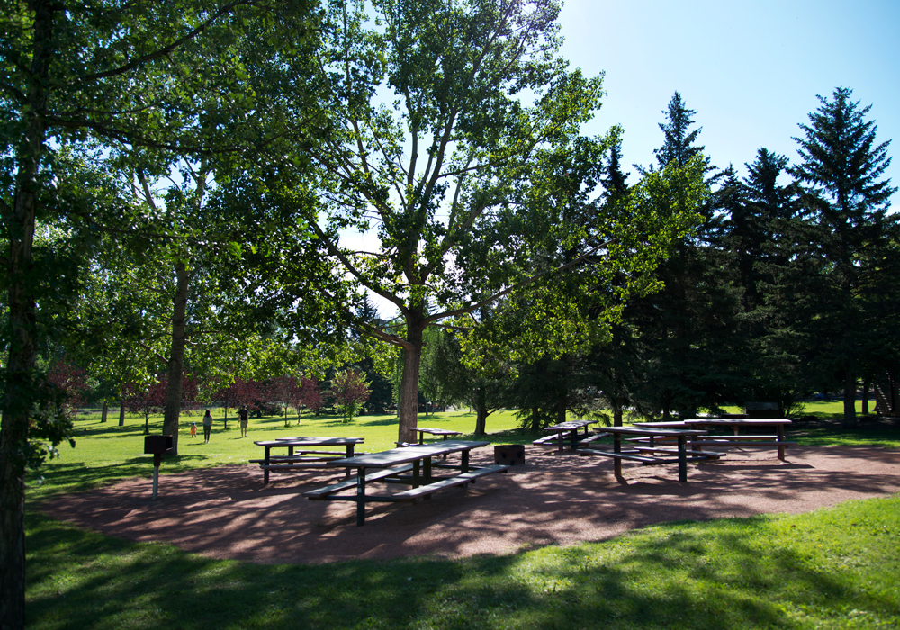 Exploring Calgary's Parks Edworthy Park Avenue Calgary
