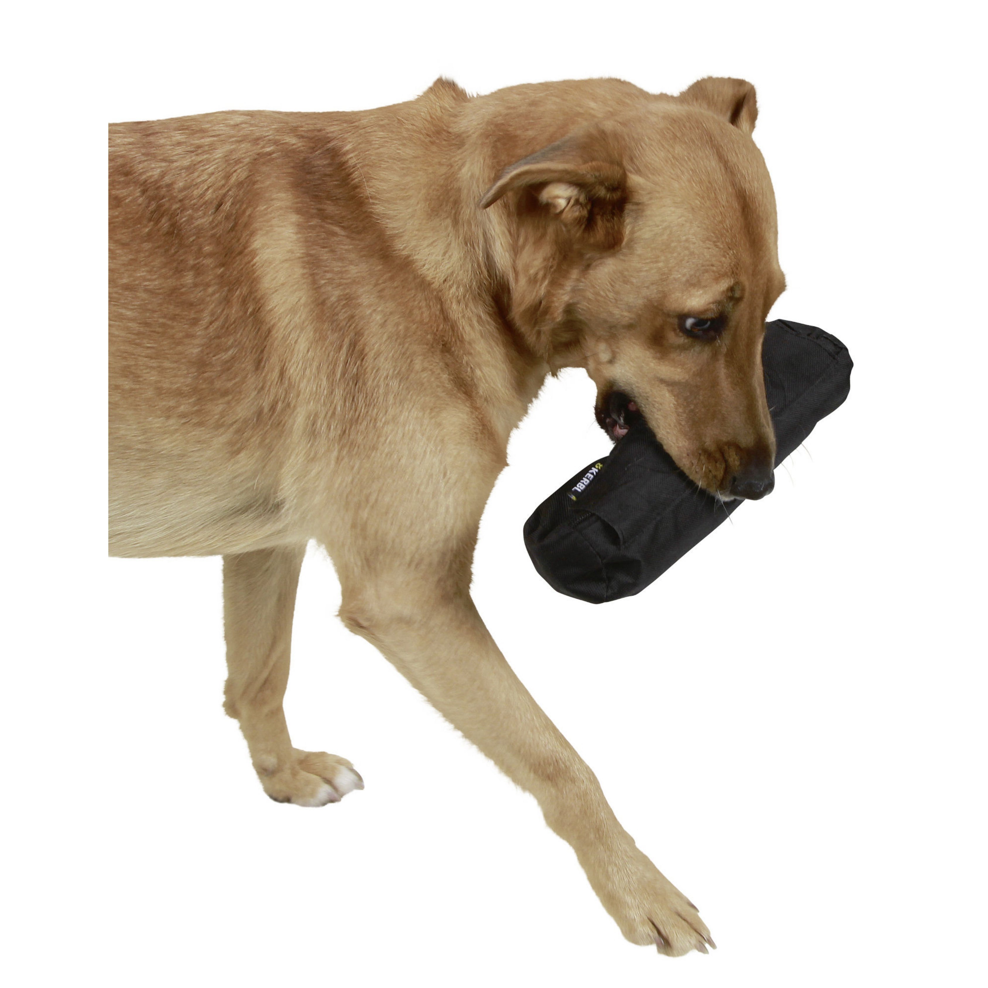 Trainings Dummy, 16x7cm averde.de