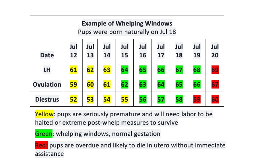 59 Days Pregnant Dog Symptoms