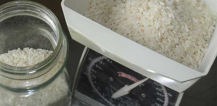 Adding Rice to Dog Food to Stop Diarrhea Avid Pup