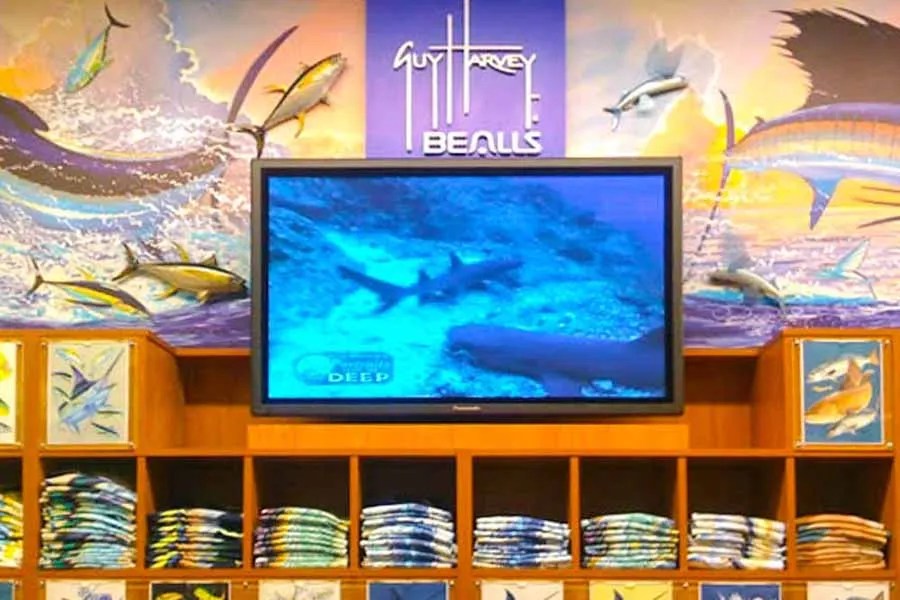 Orlando Audio Visual Automation Security Camera Outdoor AV