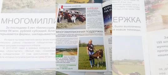 Коровы купить в Новобейсугской Животные и зоотовары Авито