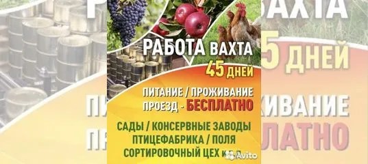 Вакансия Рабочие на с/х работы (с проживанием и питанием) в Саратове