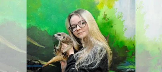 Резюме на вакансию Работник с животными в СанктПетербурге Работа Авито