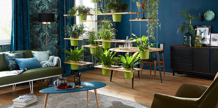 Decoration salon tropical Design en image