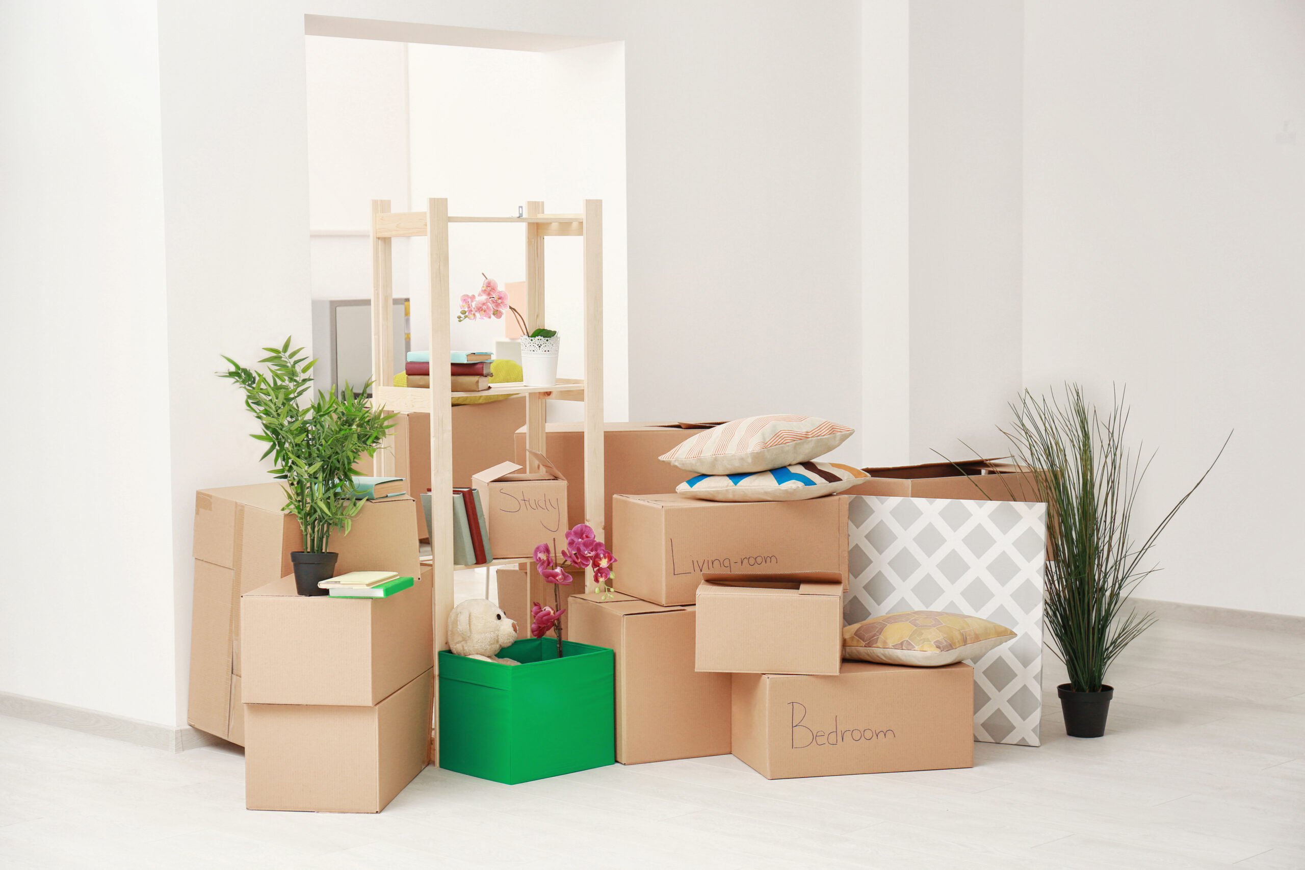 Reasons You Should Label Your Moving Boxes AVM Storage