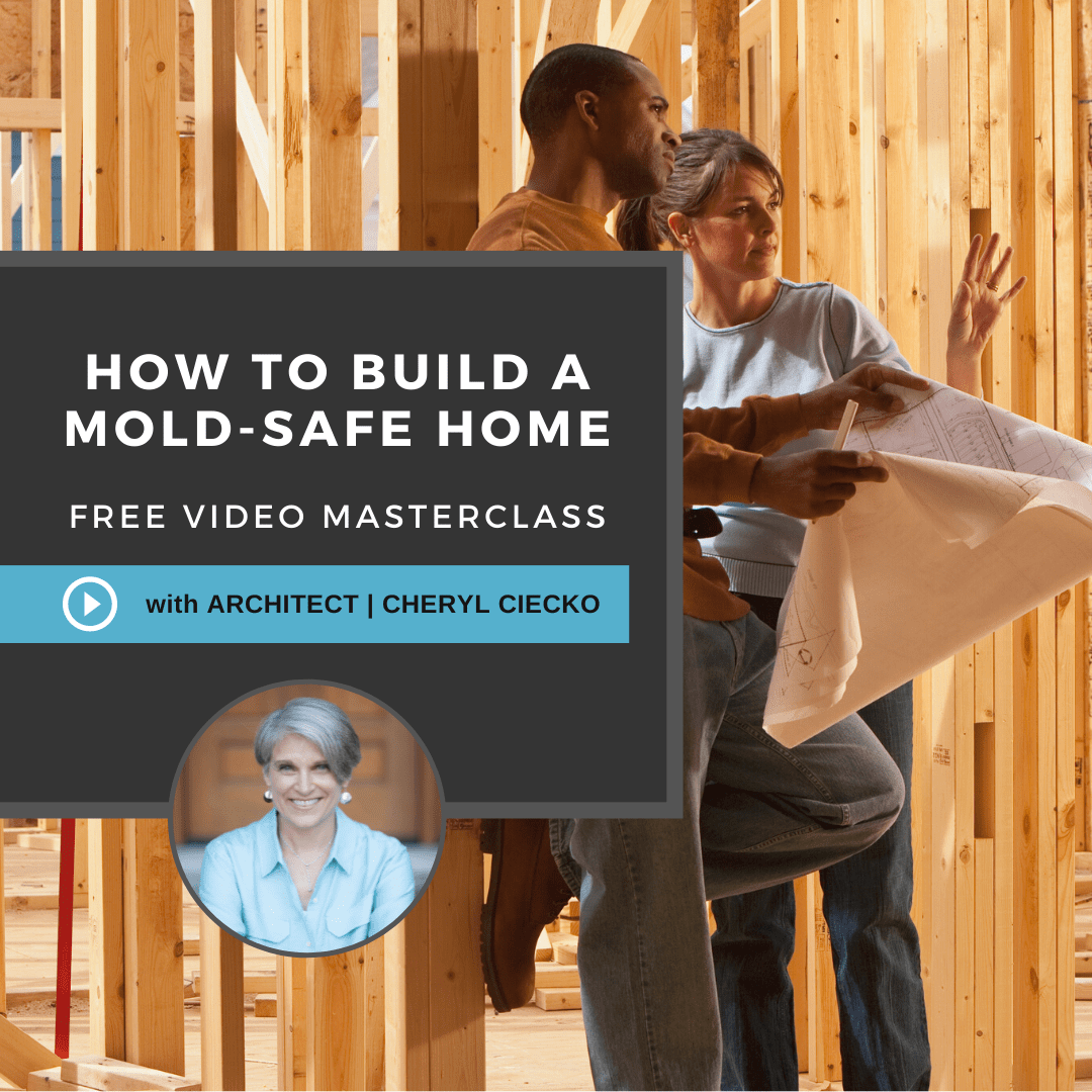 FREE Intro To Mold Safe Building Avoiding Mold