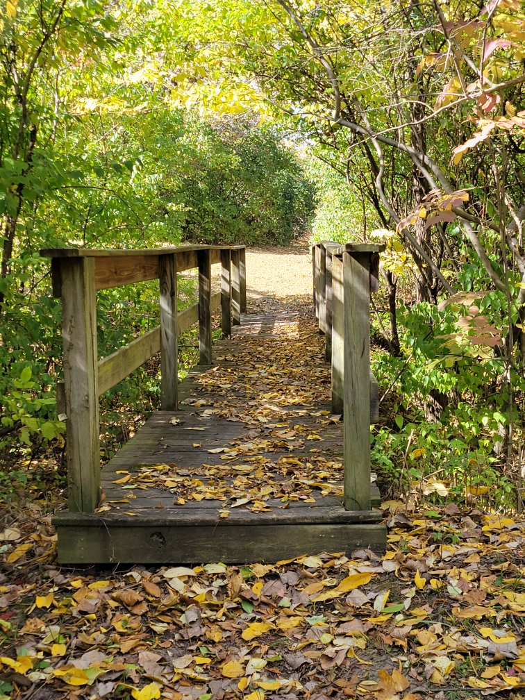 Avon Trails HOA Avon, Indiana Avon Trails Homeowners Association