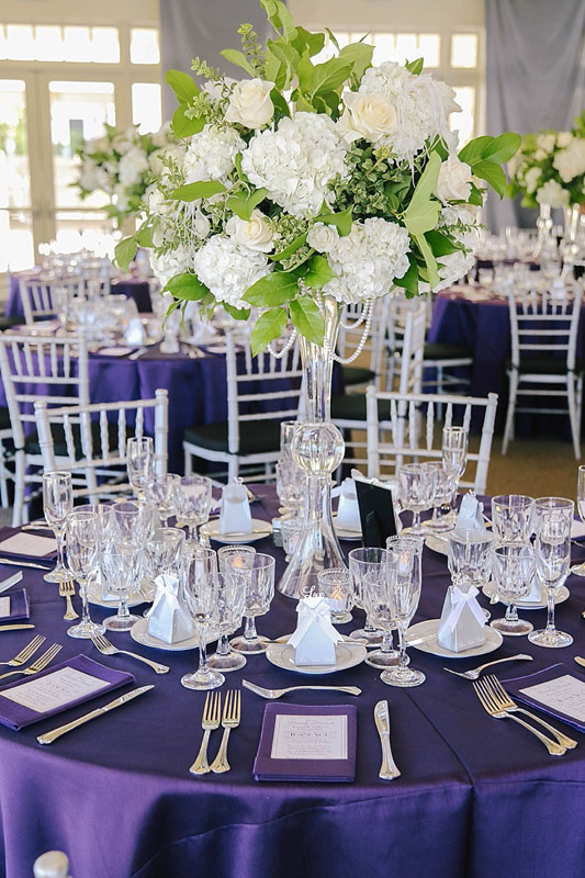 Special Life Events AV Party Rental