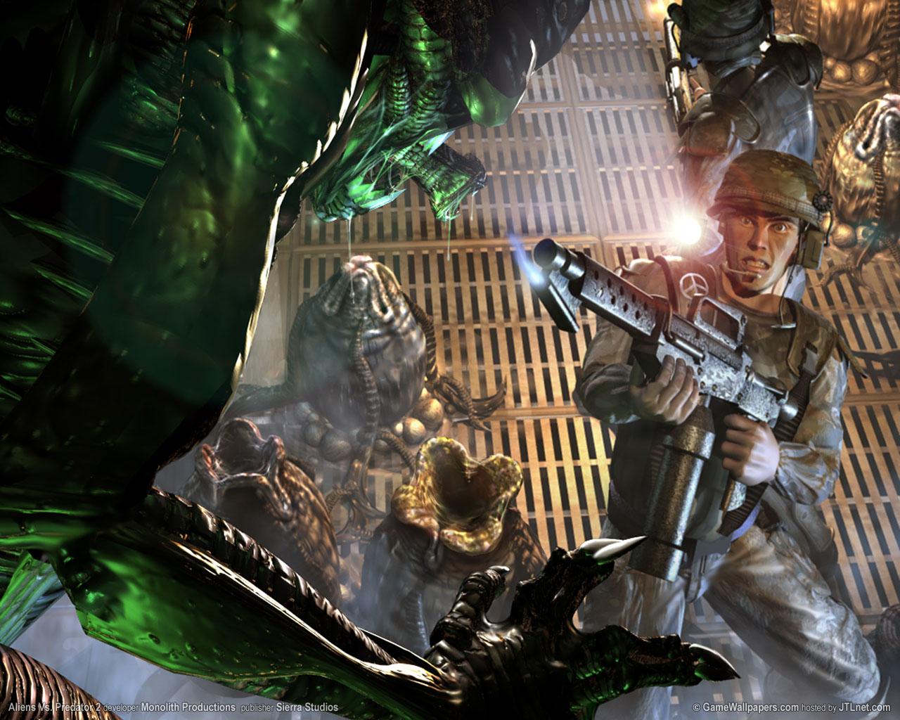 Aliens versus Predator 2 (PC) (2001) (Monolith) AvPGalaxy