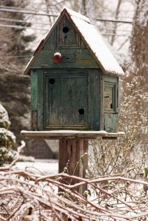 Picture Of The Front Of A Pig Tin Face Bird House Up To Date 2022