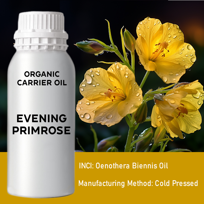 Organic Evening Primrose Carrier Oil AW Aromatics White Label