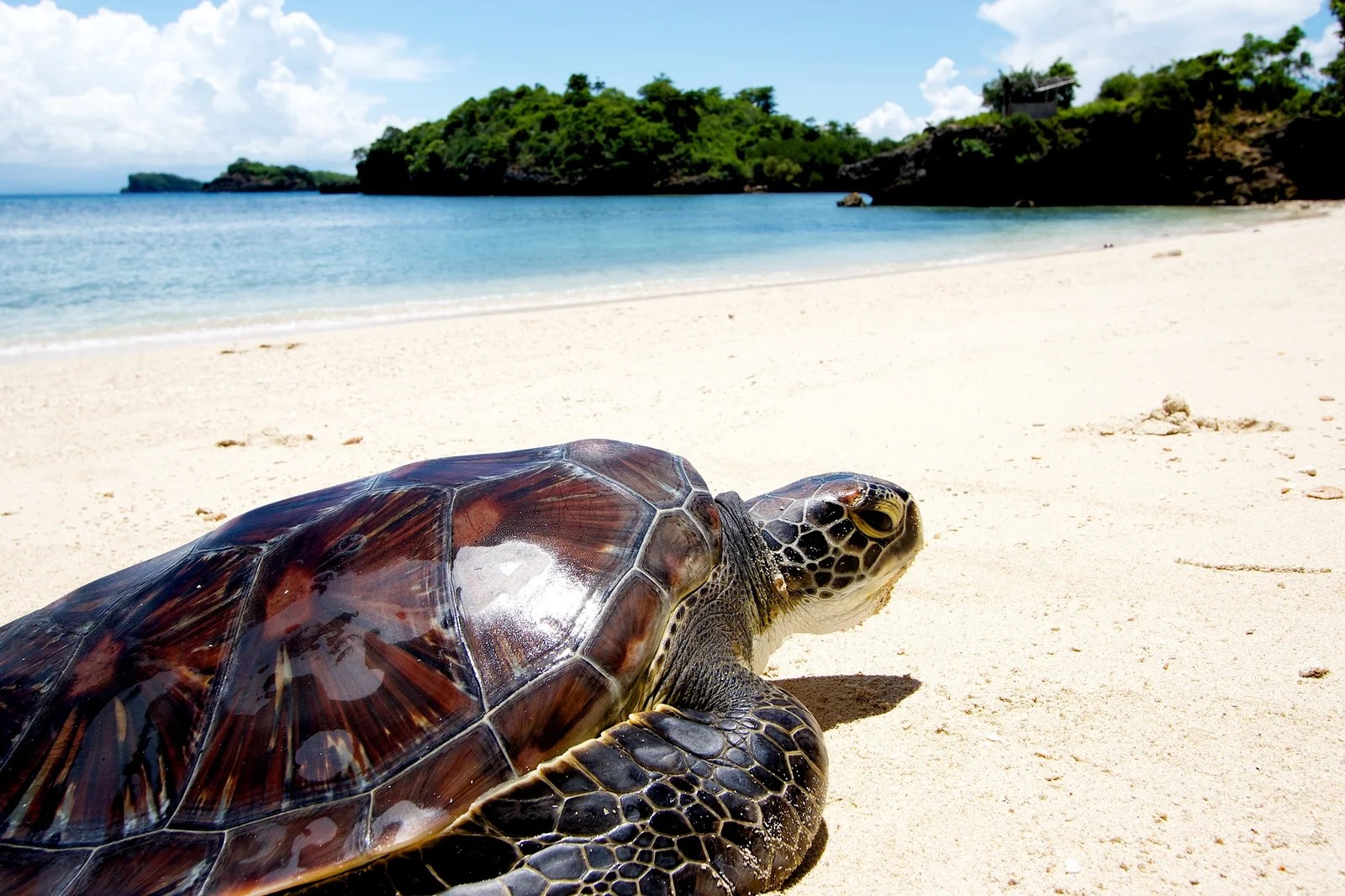 GUIMARAS A Travel Guide To 5 Must See Places Things To Do