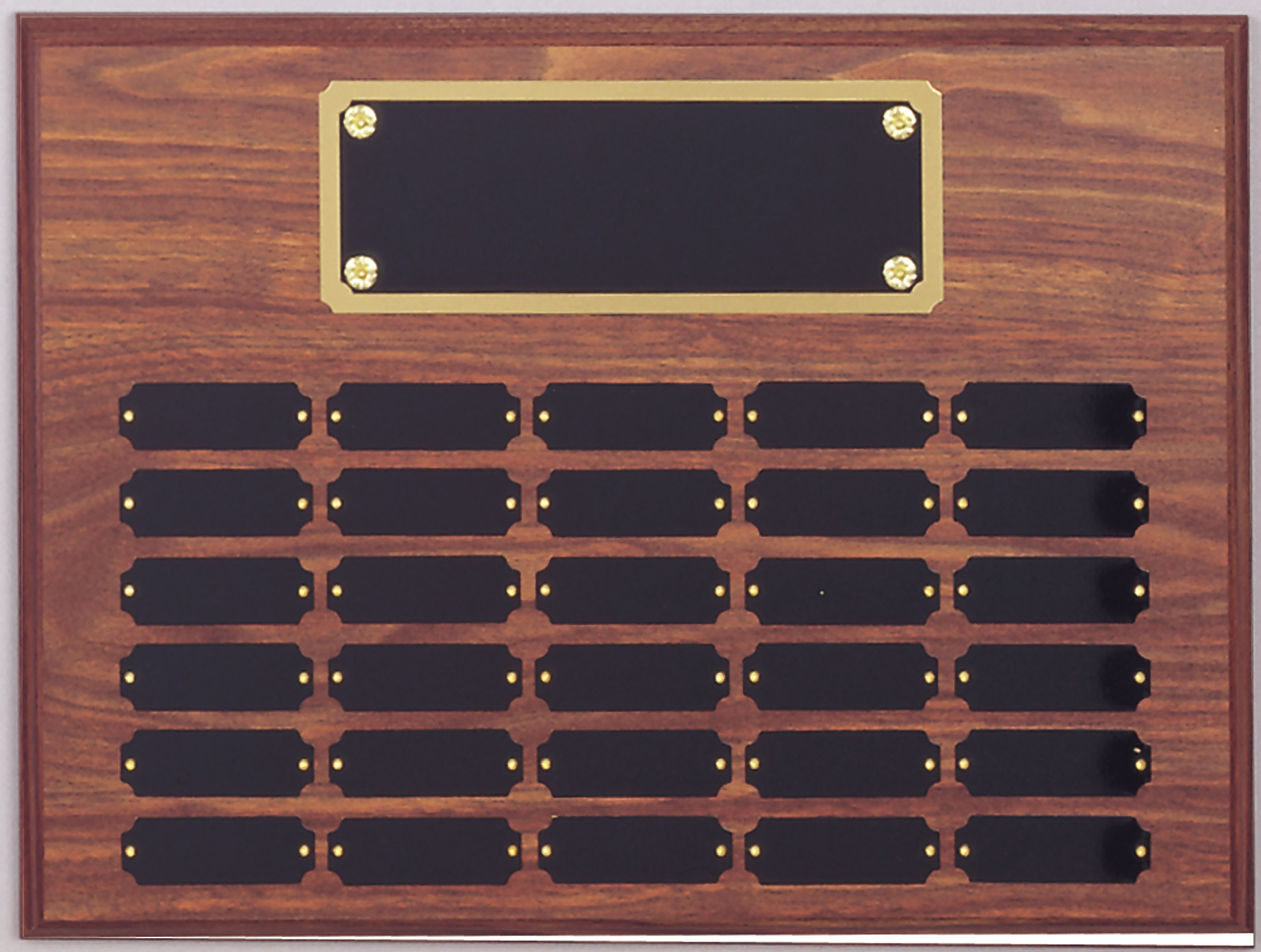 PERPETUAL PLAQUE 30 PLATESP3057