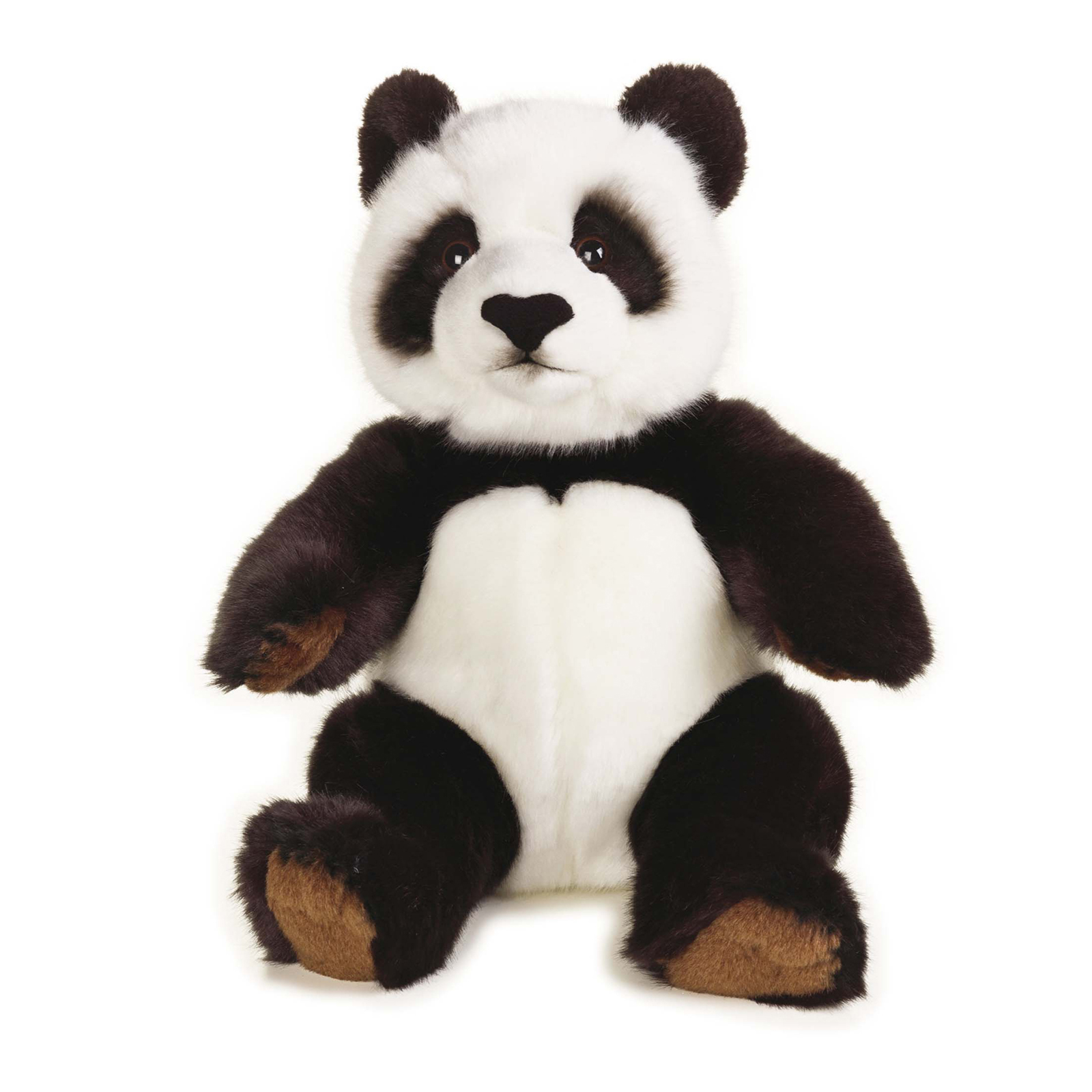5 Reasons Why Panda Bears Are AMAZING Submit Guest Post On Awarenes