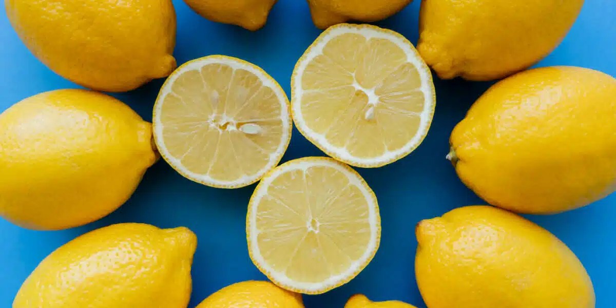 Lemon Research Topics at Daniel Harris blog