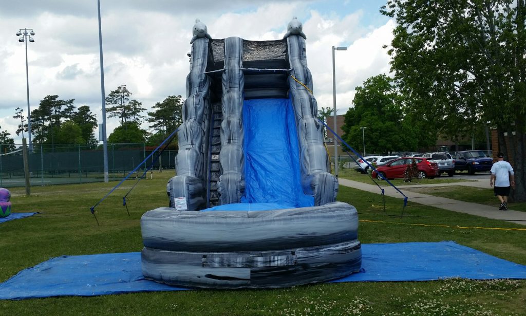 Dolphin Water Slide Awesome Inflatable Rides