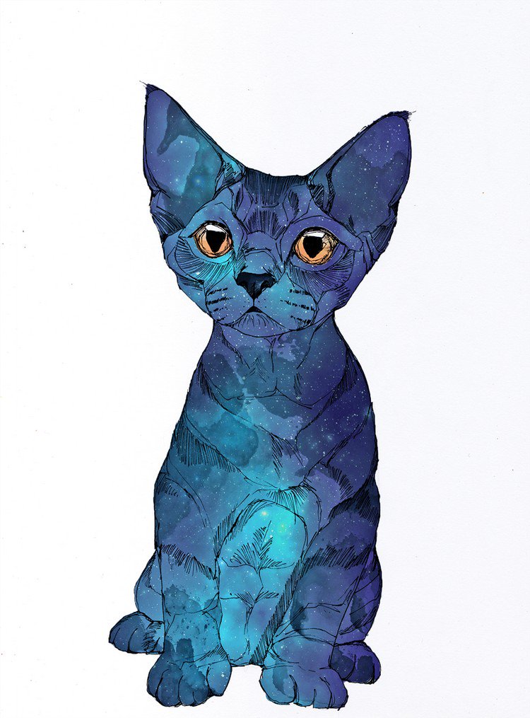 Artist Alexandra Laza Creates Magical AnimalThemed Line Art