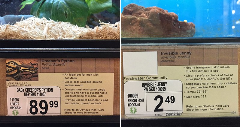 Jeff Wysaski Replaces Name Labels In His Local Pet Store With Funny Ones
