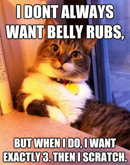 12 Images Of Mischievous Cats Causing Trouble