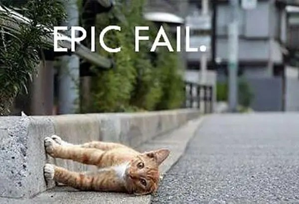 16 Cats Who Immediately Regretted Their Decisions In These