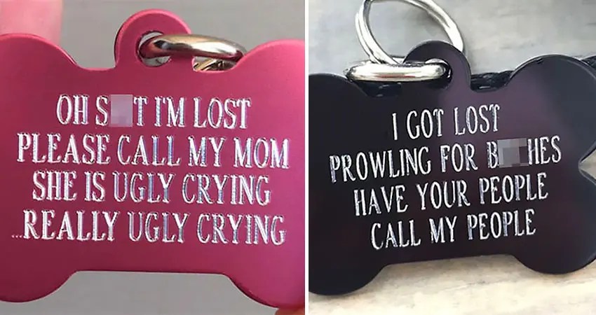 cute dog tag sayings Funny Dog Tags Sale, 60% Off | Www.ingeniovirtual.com