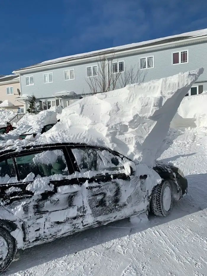 30 Photos Showing How Canadians Are Dealing With The Crazy Blizzard