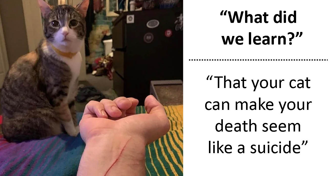 50 People Share Hilarious Comments They Saw That Have A Dark Vibe To Them
